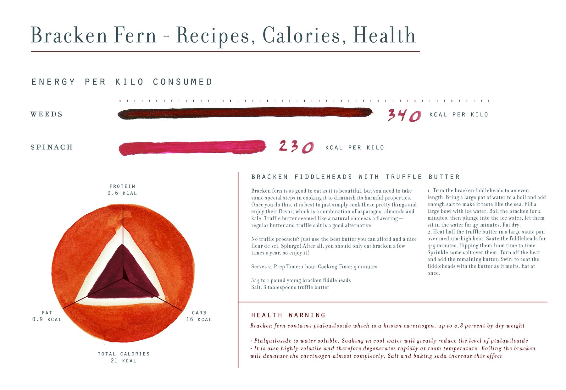 Bracken Fern: Recipes, Calories, Health